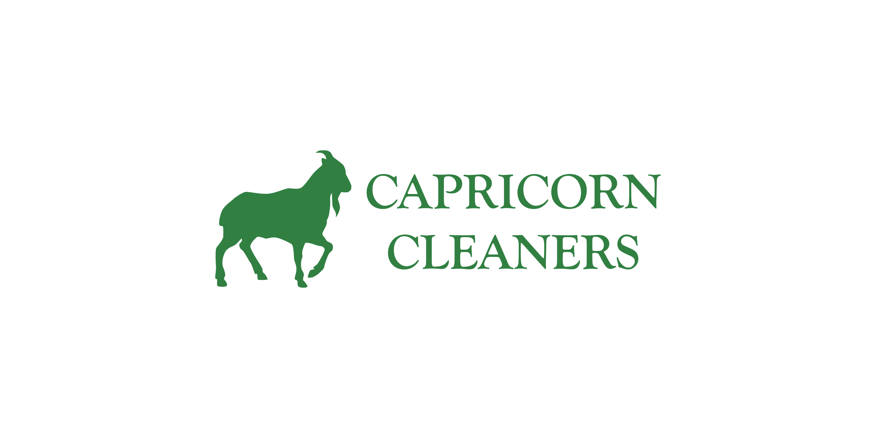 Capricorn Cleaners, print design and website design